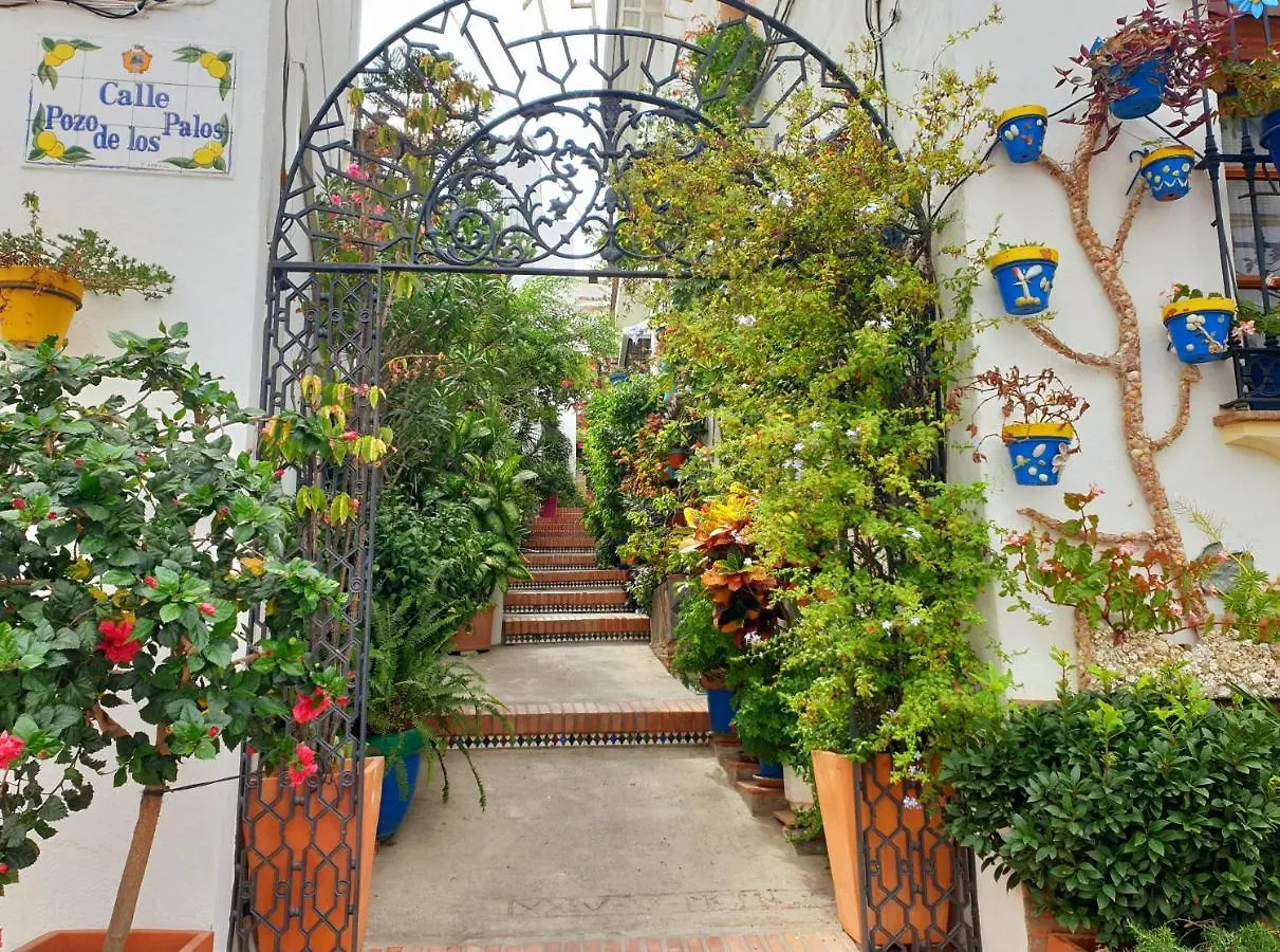 Casitamar Frontline Beach House Rental Casares Costa Near Estepona Bahia de Casares Holiday home